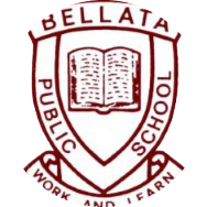 school logo