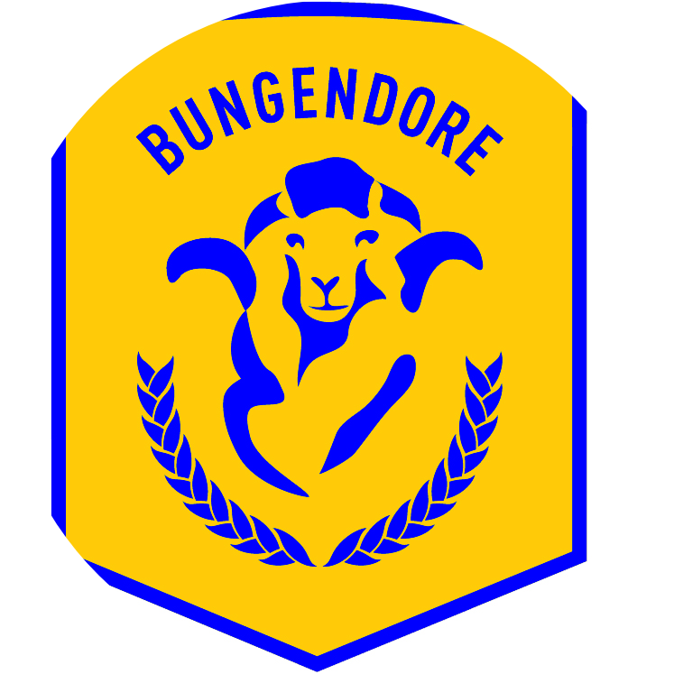 school logo