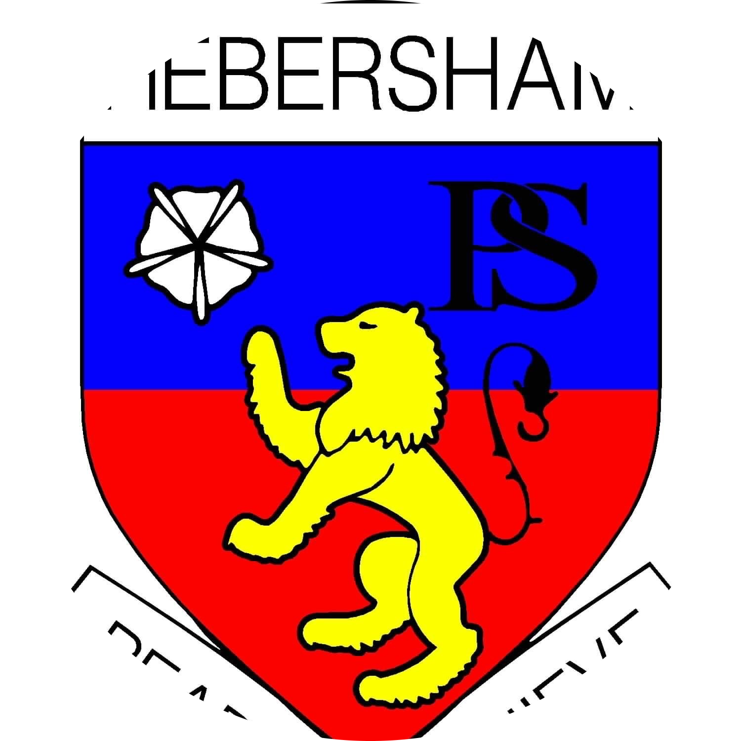 school logo