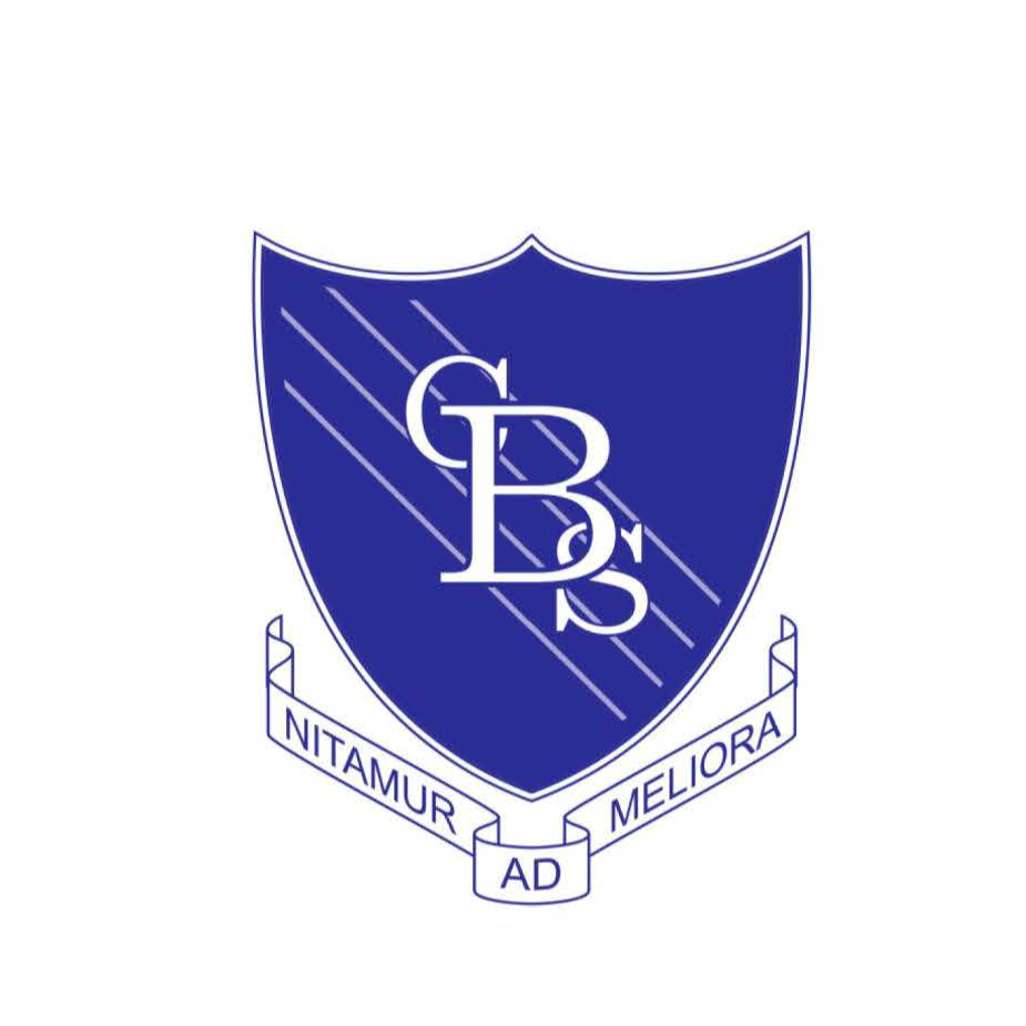 school logo