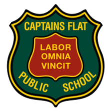 school logo