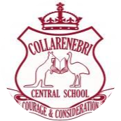 school logo