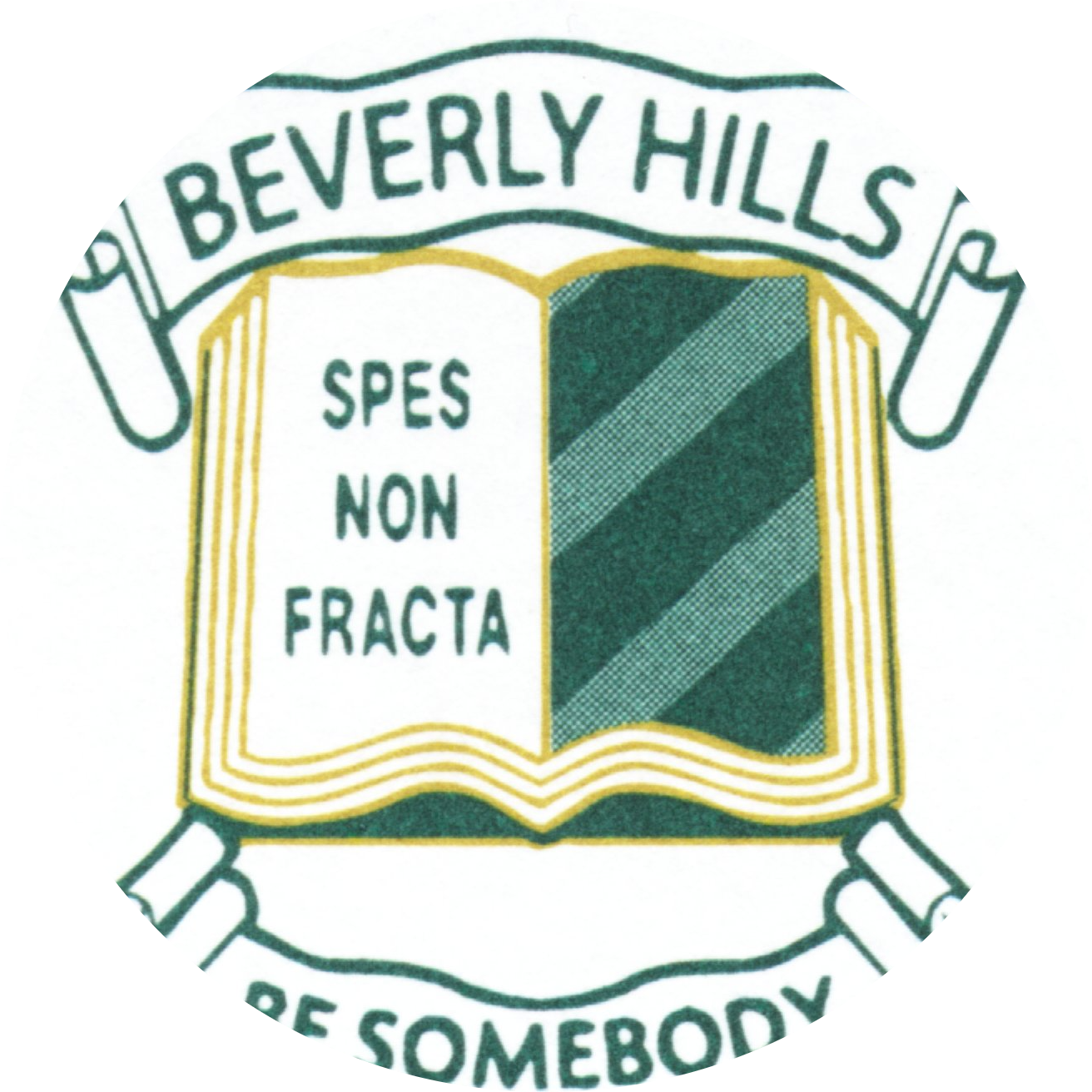 school logo