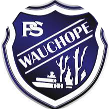 school logo